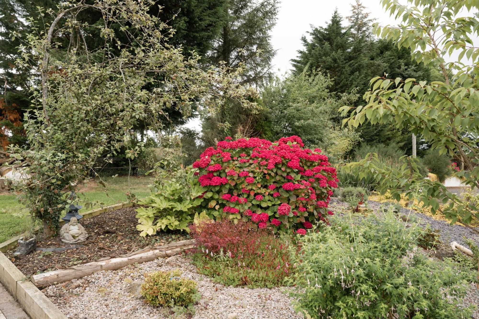 Lakescape - Waterfront Self- Catering Cabins Enniskillen Bagian luar foto